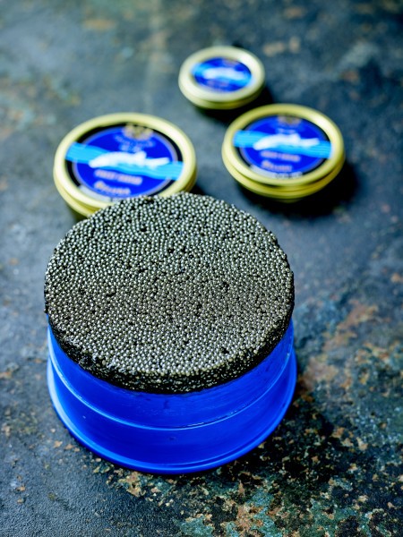 Caviar-Beluga-OT-open_WEBhToekXWaYSWow
