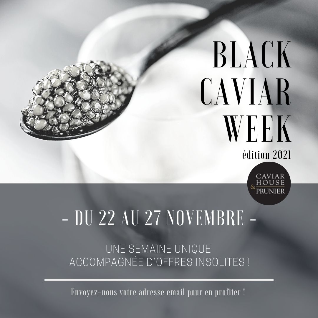 BLACK-CAVIAR-WEEK